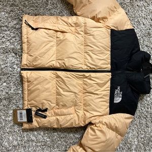 Brand New Northface